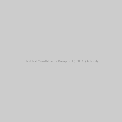 Abbexa - Fibroblast Growth Factor Receptor 1 (FGFR1) Antibody